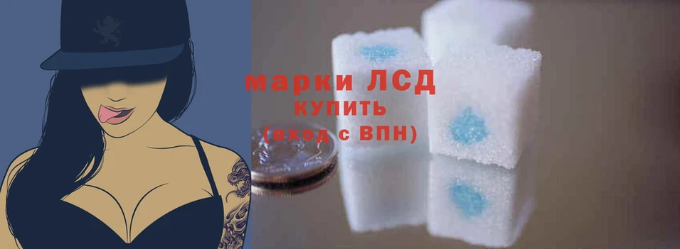 shop клад  Задонск  ЛСД экстази ecstasy 